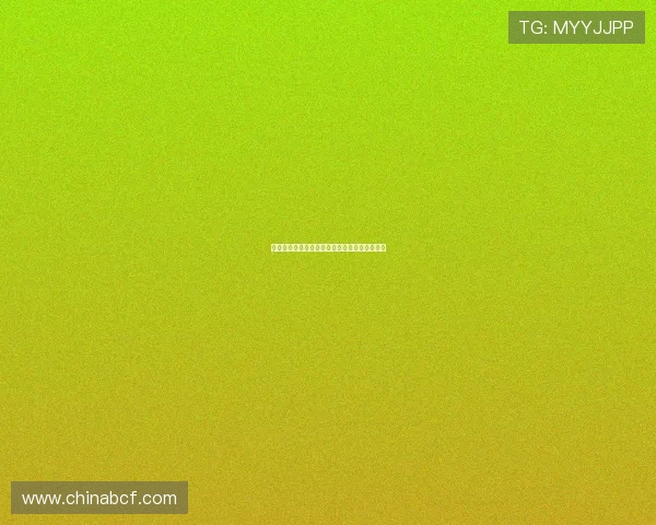 出海三强引领中国品牌跃升全球高端市场新格局